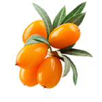 alma-homoktovis_300x300x80 (2)